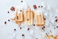 Homemade cold chocolate fudge popsicles on a stick over ice and marble background with piece chocolate and coffee beans Royalty Free Stock Photo