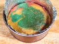 Homemade colorful baked cake in springform pan