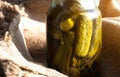Homemade conservation of Salted pickled cucumbers preserved canned in glass jar