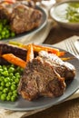 Homemade Cooked Lamb Chops Royalty Free Stock Photo