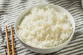 Homemade Cooked Steamed White Rice Royalty Free Stock Photo
