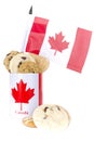 Homemade cookies Canada Day Royalty Free Stock Photo