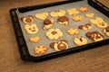 Homemade cookies in the shape of dog, heart, elephant, butterfly, snowflake, slug, turtle, heart, rabbit Royalty Free Stock Photo