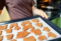 Homemade cookies of various shapes on a heat-resistant silicone mat on a baking sheet are going to be baked in the oven Royalty Free Stock Photo