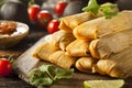 Homemade Corn and Chicken Tamales Royalty Free Stock Photo