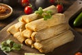 Homemade Corn and Chicken Tamales Royalty Free Stock Photo