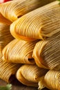 Homemade Corn and Chicken Tamales Royalty Free Stock Photo