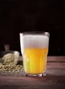 Homemade craft beer in a glass, dark wooden background