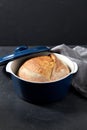 homemade craft bread in ceramic baking dish