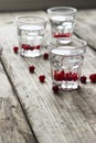 Homemade cranberry vodka, wooden background Royalty Free Stock Photo