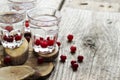 Homemade cranberry vodka, wooden background Royalty Free Stock Photo