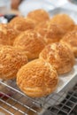 Homemade Craquelin Choux biscuits crispy cream puffs Royalty Free Stock Photo
