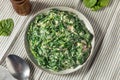 Homemade Creamed Spinach Side Dish Royalty Free Stock Photo