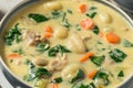 Homemade Creamy Chicken Gnocchi Soup