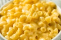 Homemade Creamy Macaroni and Cheese Pasta Royalty Free Stock Photo