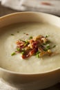 Homemade Creamy Potato and Leek Soup Royalty Free Stock Photo