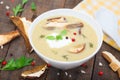 Homemade creamy soup with sliced boletus mushrooms.