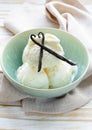 Homemade creamy vanilla ice cream