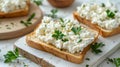 Homemade Crispbread toast with Cottage Cheese and parsley on white wooden board Royalty Free Stock Photo