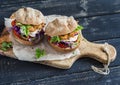 Homemade crispy fish burger Royalty Free Stock Photo