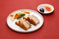 Homemade crispy roast pork belly with skin, Chinese Cantonese cuisine Royalty Free Stock Photo