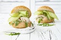 Homemade crispy spring fish burger with spicy chilli mayo on white rustic wooden board over light background. Copy space.