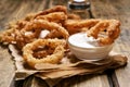 Homemade crunchy fried onion rings Royalty Free Stock Photo