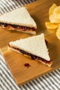 Homemade Crustless Peanut Butter and Jelly Sandwich Royalty Free Stock Photo