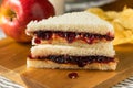 Homemade Crustless Peanut Butter and Jelly Sandwich