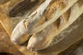 Homemade Crusty French Bread Baguette Royalty Free Stock Photo