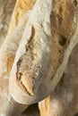 Homemade Crusty French Bread Baguette Royalty Free Stock Photo