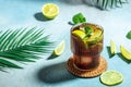 Homemade Cuba Libre with fresh lime, rum, cola, mint in the glass, banner, menu, recipe place for text Royalty Free Stock Photo