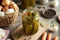 Homemade cucumber pickles or gherkins in a glass jar Royalty Free Stock Photo