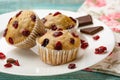 Homemade cupcakes with cherries are located on a light background. A few cupcakes are located on a white plate