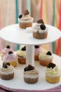Homemade cupcakes Royalty Free Stock Photo