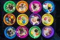 Homemade cupcakes in multi-colored silicone molds and with colored chocolates inside on a baking tray. Delicious pastry cooked at