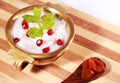 Homemade curd rice south indian food with pomegranate and lemon pickle Royalty Free Stock Photo