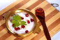 Homemade curd rice south indian food with pomegranate and lemon pickle Royalty Free Stock Photo