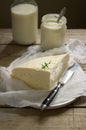 Homemade dairy products