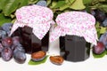 Homemade damson jam Royalty Free Stock Photo