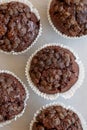 Homemade Dark Chocolate Muffins on a gray background, top view. Overhead, from above, flat lay Royalty Free Stock Photo