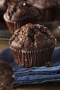 Homemade Dark Chocolate Muffins Royalty Free Stock Photo