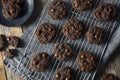 Homemade Dark Double Chocolate Chip Cookies Royalty Free Stock Photo