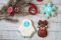 Homemade decorated Christmas sugar cookies in shapes of a snowflakes, reindeer and snowman