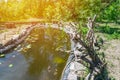 Homemade decorative pond for fish in the garden with ornamental Royalty Free Stock Photo