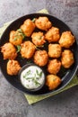 Homemade Deep Fried Hush Puppy Corn Fritters closeup on the plate. Vertical top view