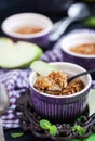 Homemade delicious apple crumble dessert Royalty Free Stock Photo