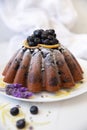 Homemade delicious and beautiful rustic Lemon Blueberry Cornmeal Cake served on a white plate Royalty Free Stock Photo