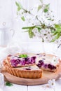 Homemade delicious berry pie with custard Royalty Free Stock Photo