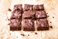 Homemade Delicious Chocolate Brownies. closeup chocolate cake Royalty Free Stock Photo